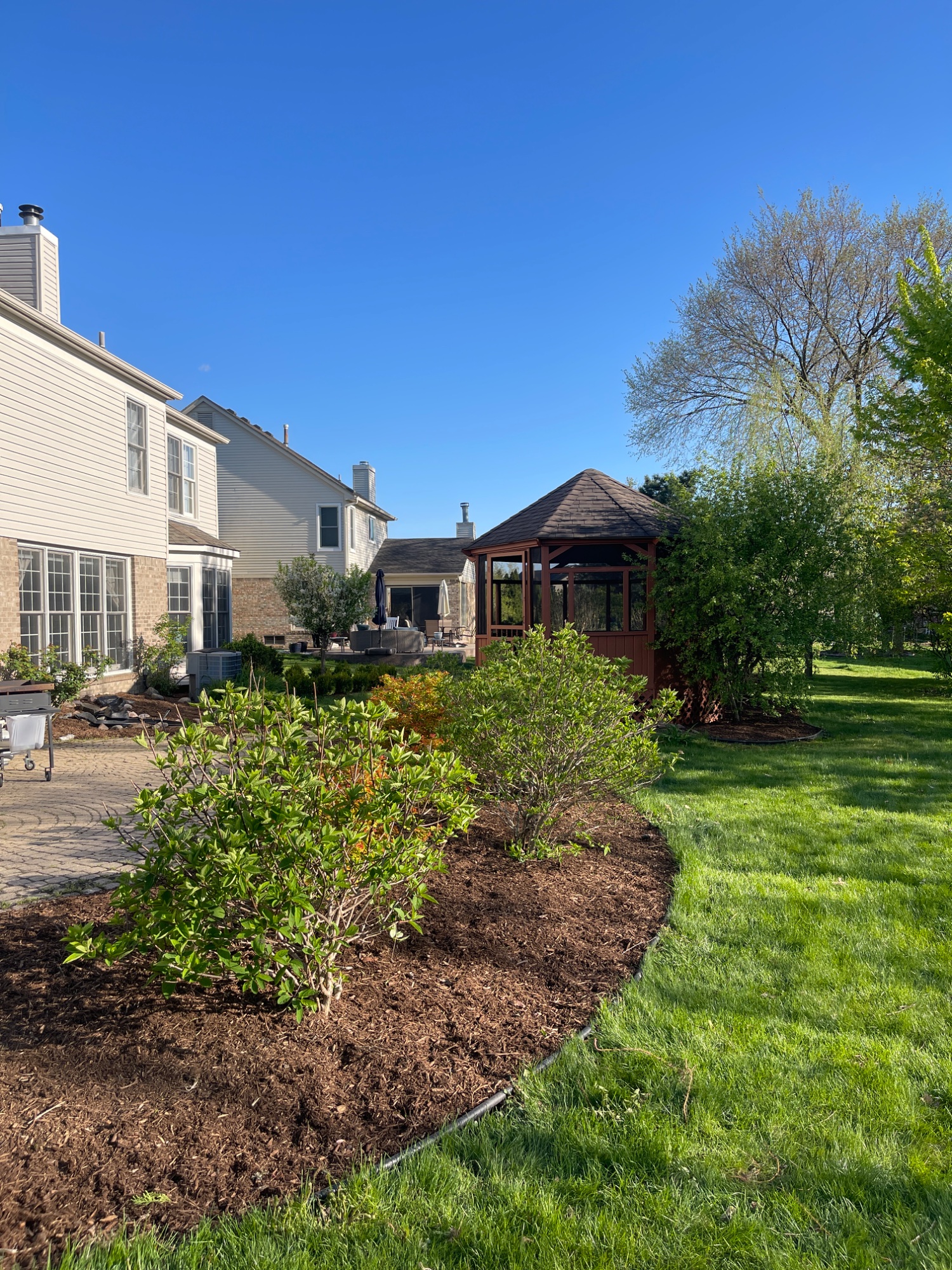 After: fresh brown mulch, shaped shrubs