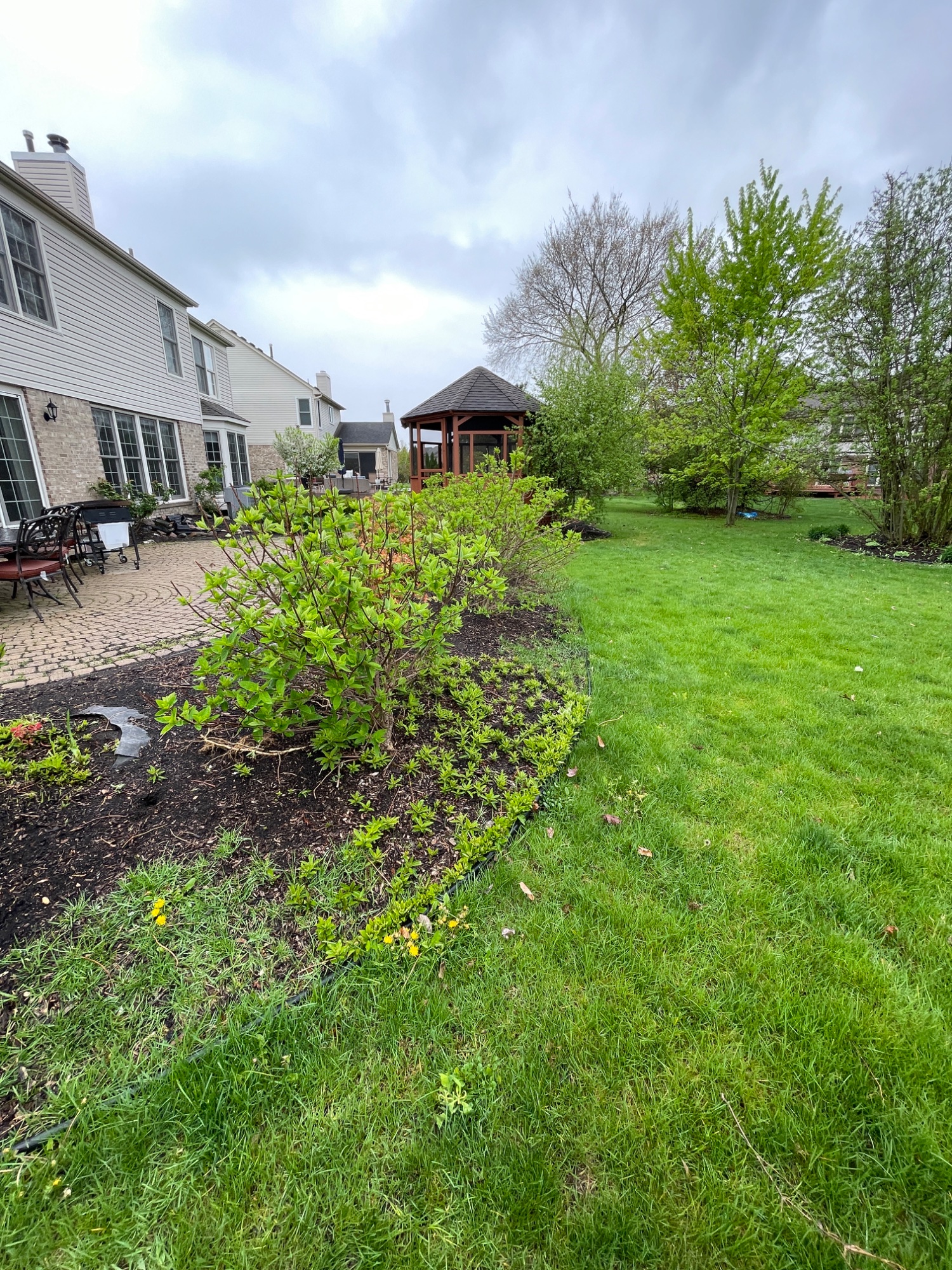 Before: weedy backyard bed